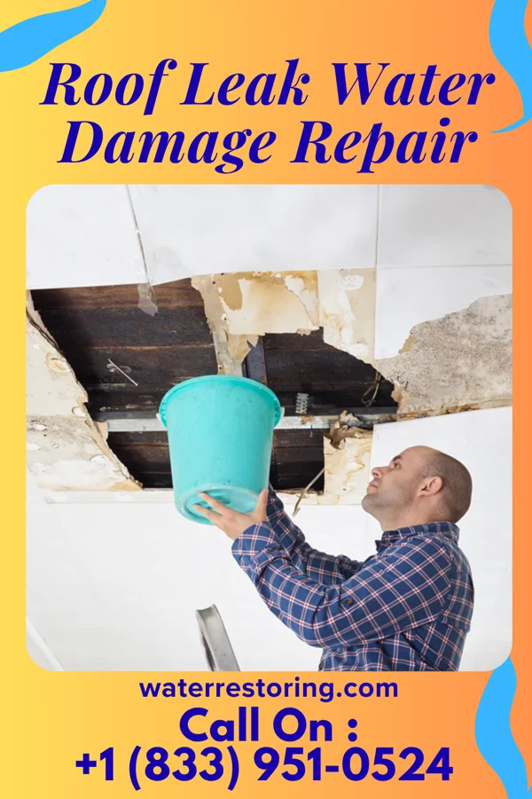 Roof Leak Water Damage Repair in Blacktail, ND